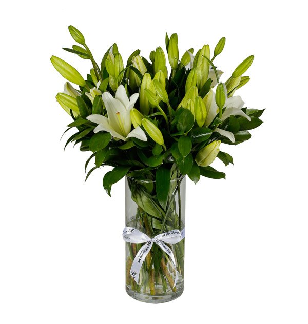 Catalogue_SH0190-gall Whiteness - الصورة 1