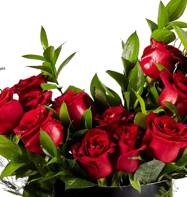 SH0211-gall-zoom Feelings - الصورة 1