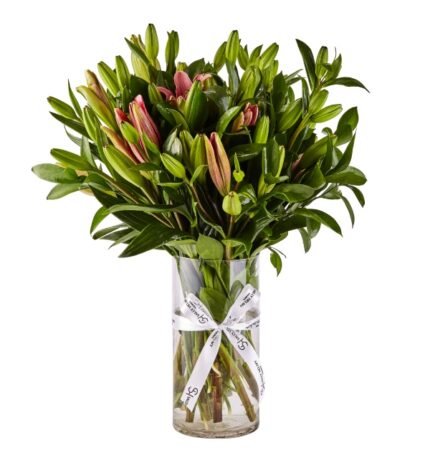 Just Lilies