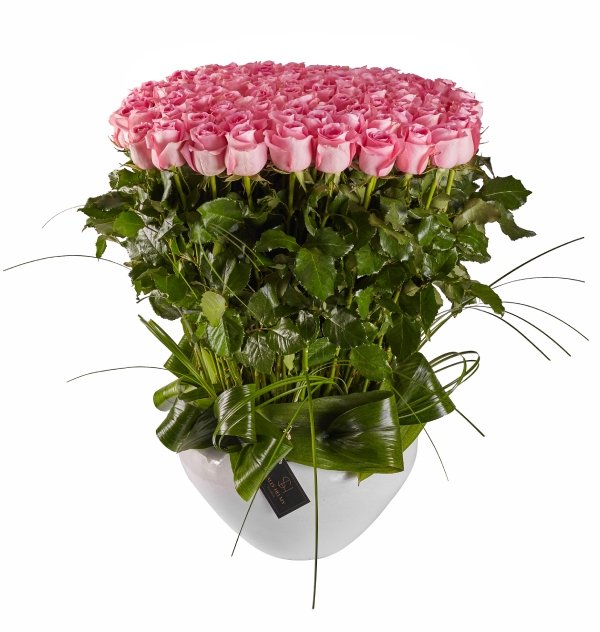 SallyHelmyGALL-SH0218 Pinky - الصورة 1